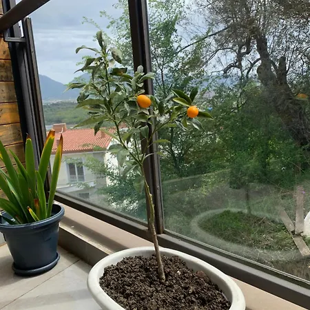 Daire Hill Tirana Selitë e Vogël